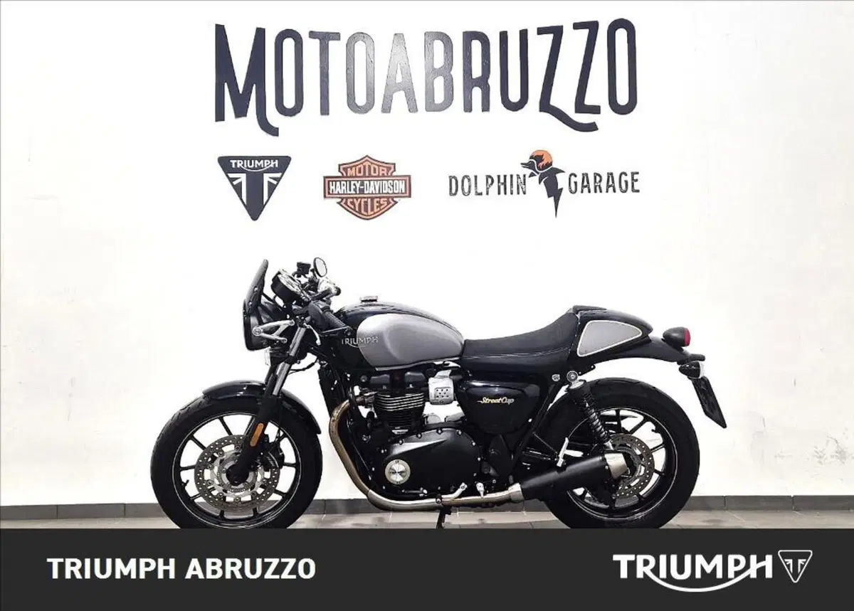 Triumph Street Cup 900 (2017 - 19) (5)