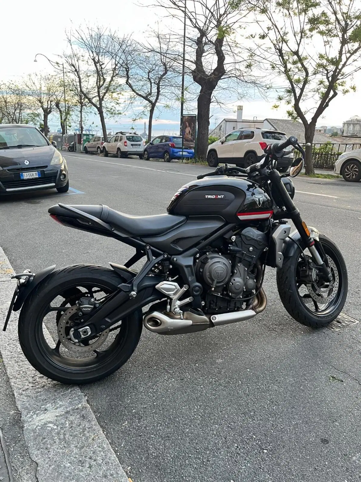 Triumph Trident 660 (2021 - 24) (3)