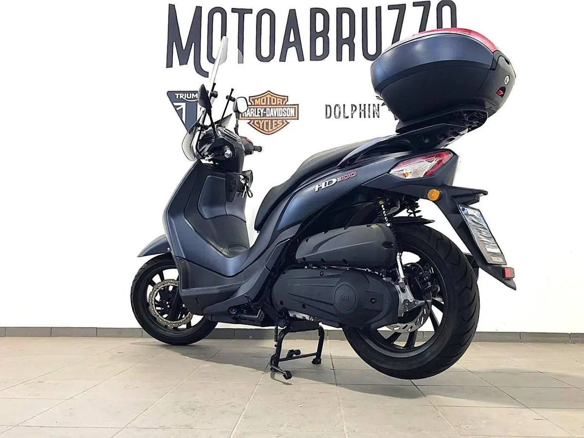 Sym HD 300 (2021 - 25) (7)