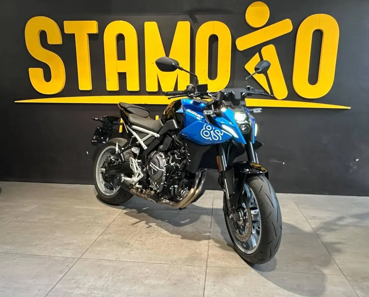 Suzuki GSX-8S (2025 - 26) (2)