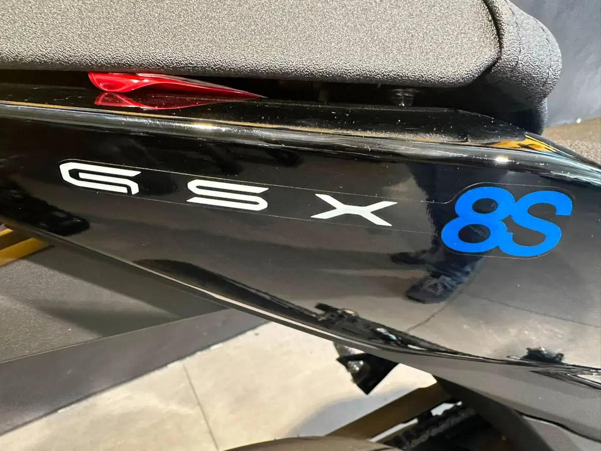 Suzuki GSX-8S (2025 - 26) (5)