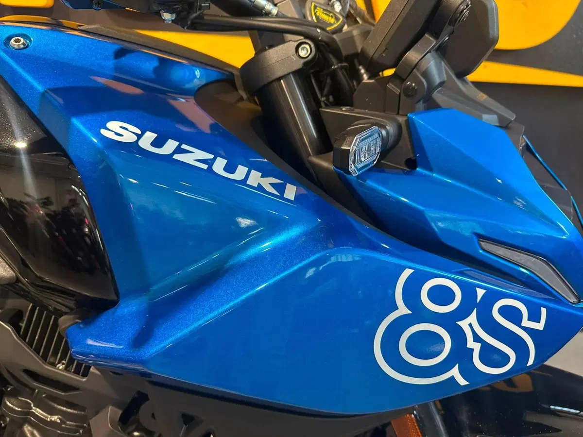 Suzuki GSX-8S (2025 - 26) (8)