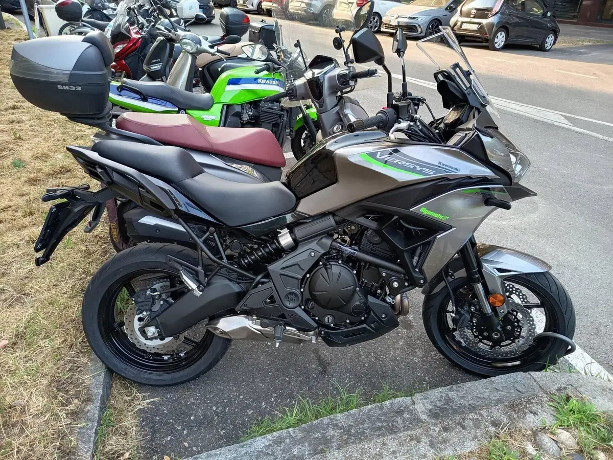 Kawasaki Versys 650 (2025 - 26) (2)