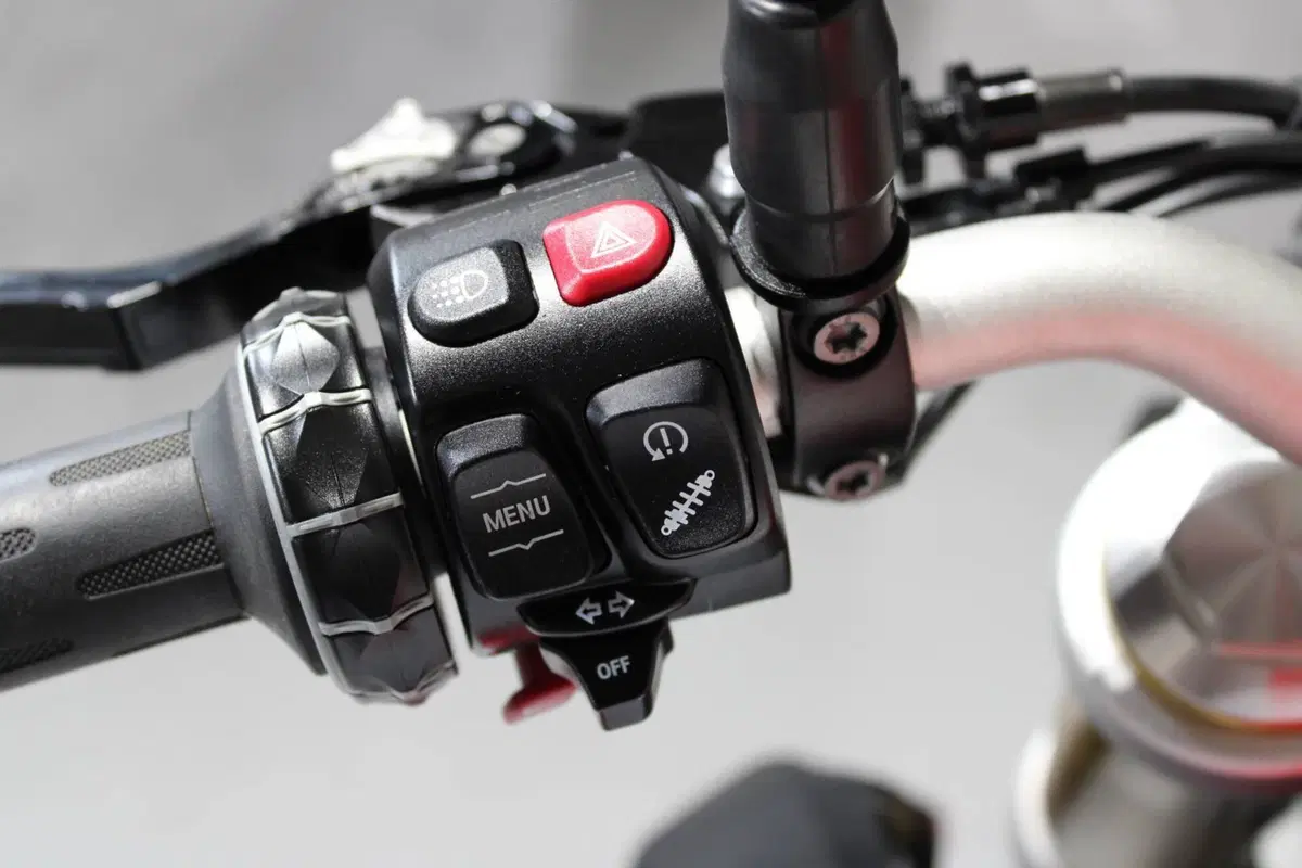 Bmw F 900 R (2021 - 24) (8)