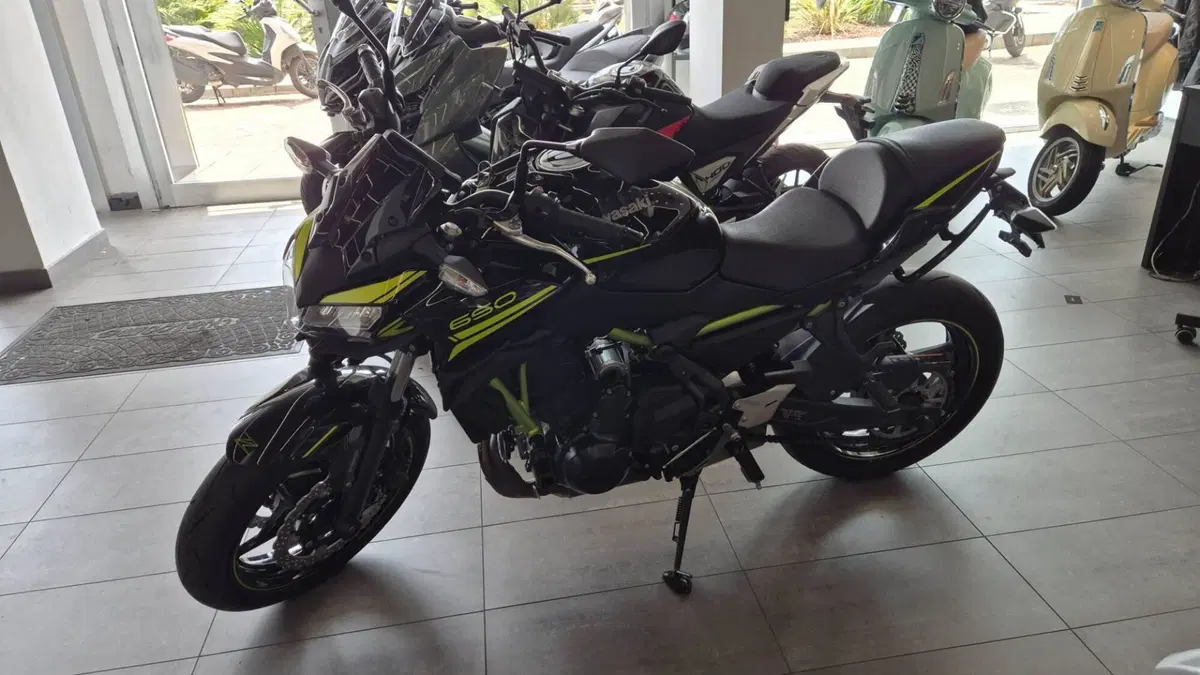 Kawasaki Z 650 (2020) (2)