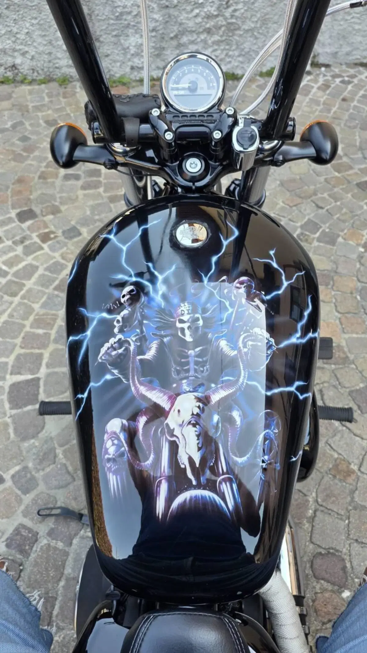 Harley-Davidson 1200 Forty-Eight (2010 - 15) (5)