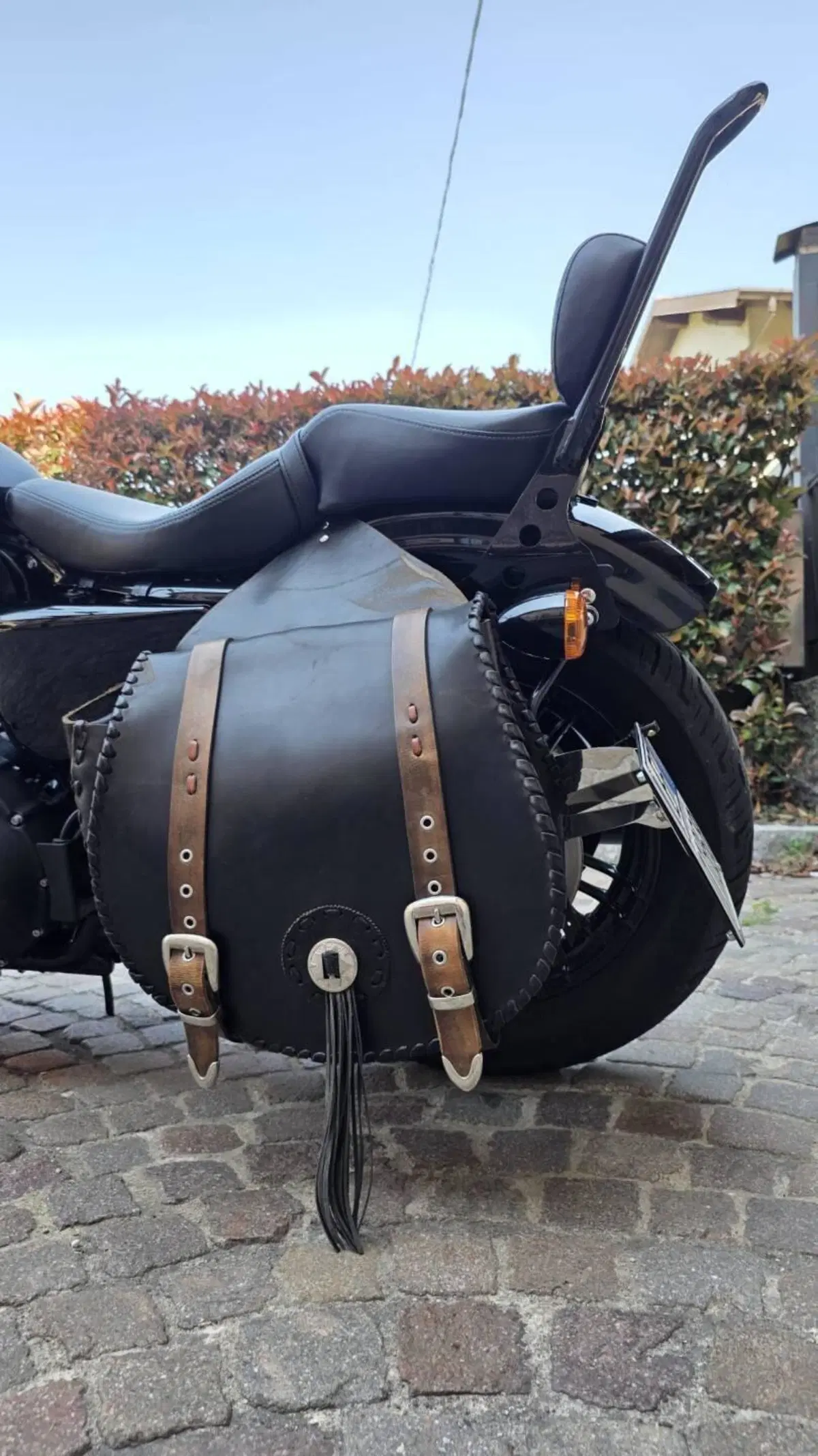 Harley-Davidson 1200 Forty-Eight (2010 - 15) (8)