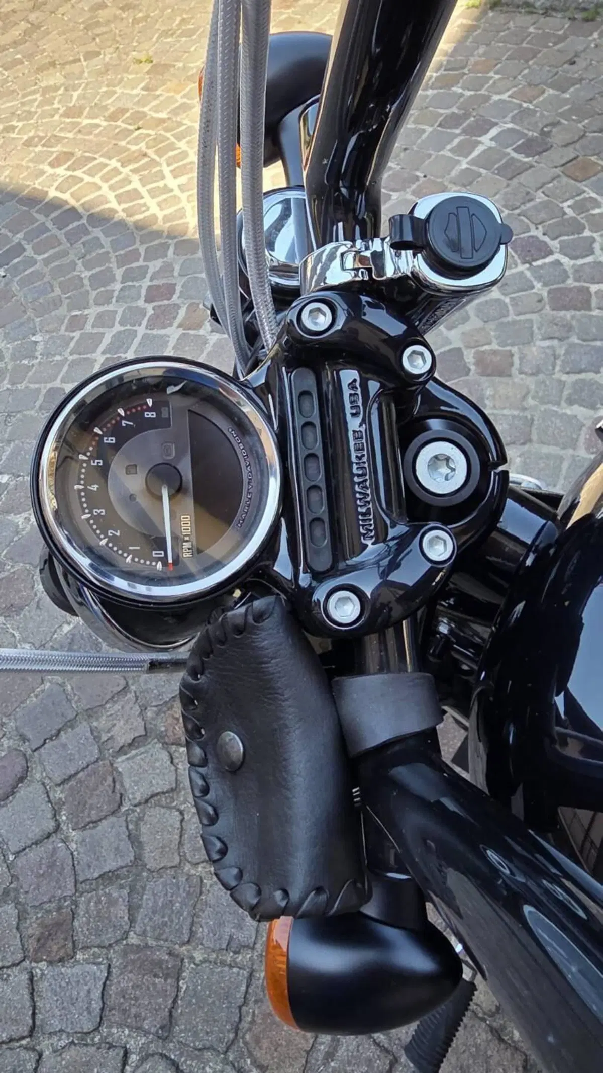 Harley-Davidson 1200 Forty-Eight (2010 - 15) (9)