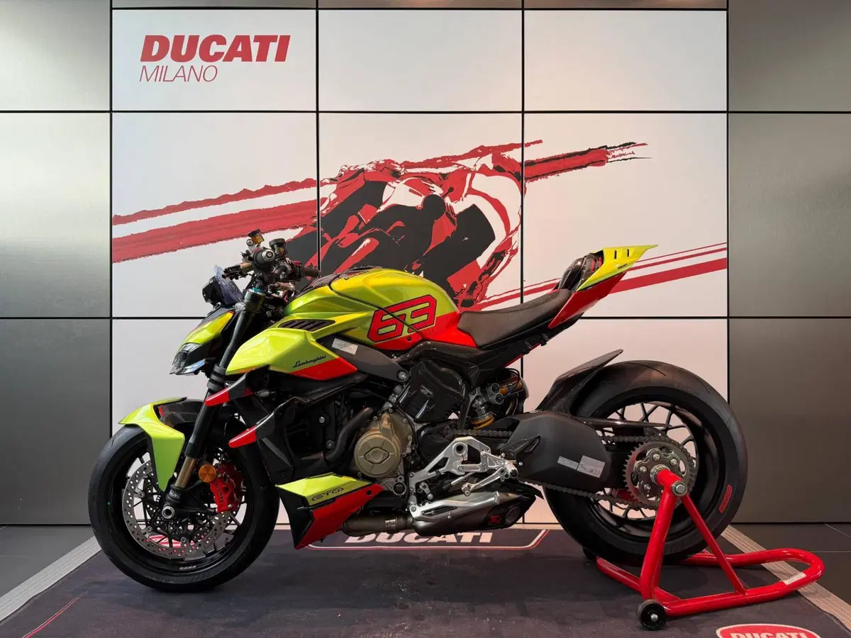 Ducati Streetfighter V4 Lamborghini (2023 - 24) (5)