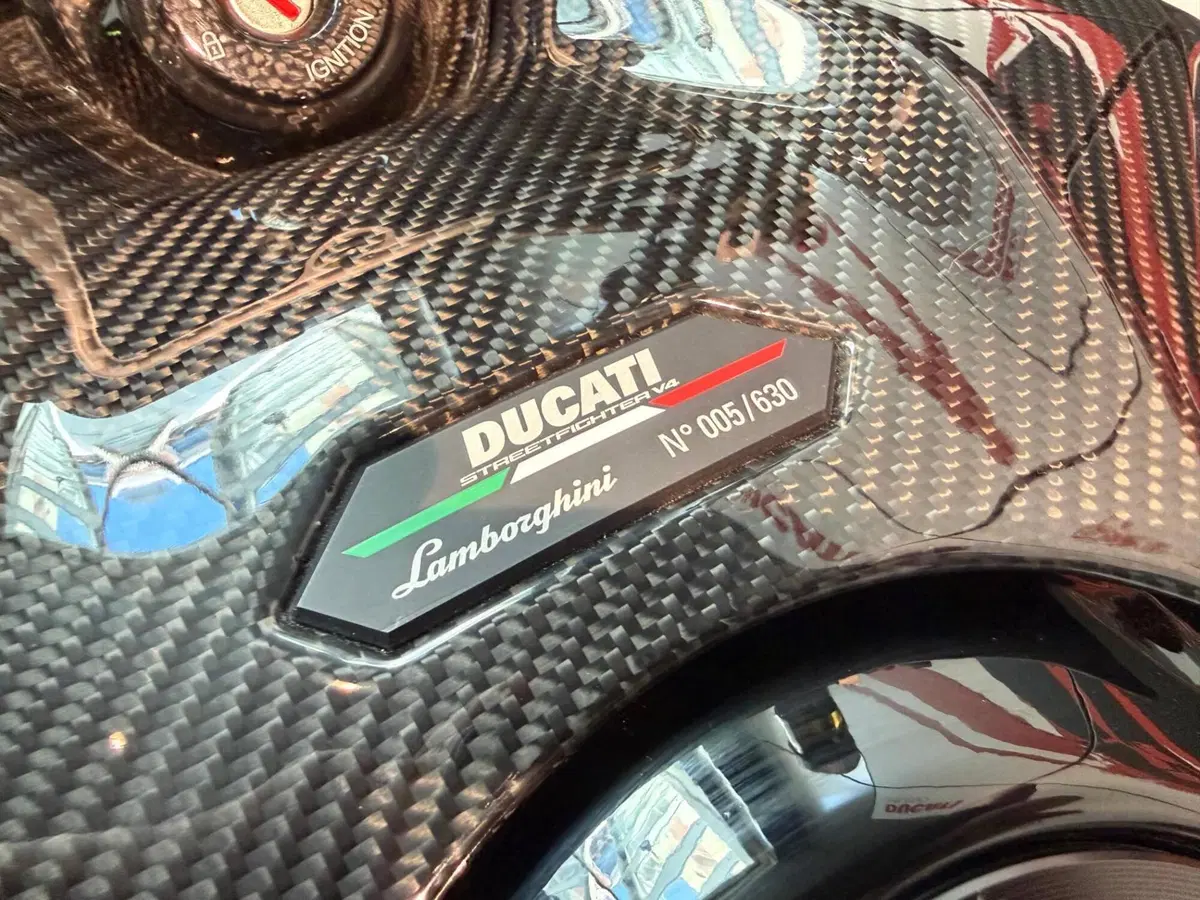 Ducati Streetfighter V4 Lamborghini (2023 - 24) (6)