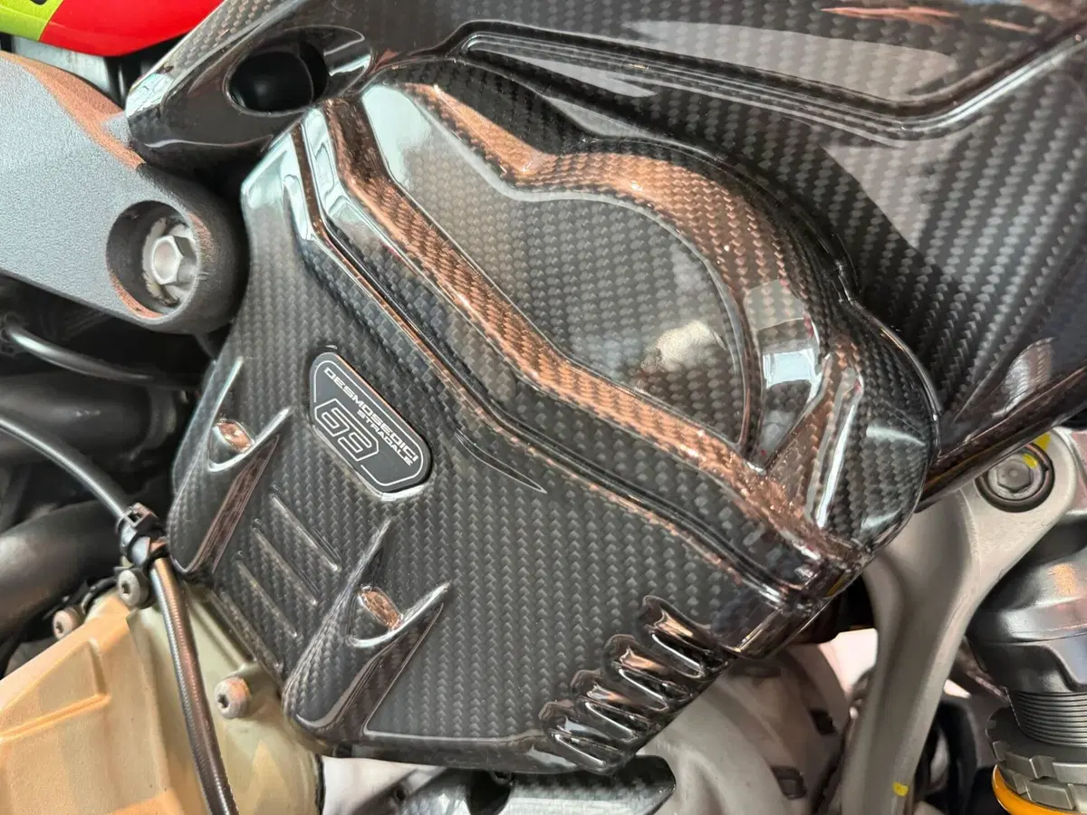 Ducati Streetfighter V4 Lamborghini (2023 - 24) (8)