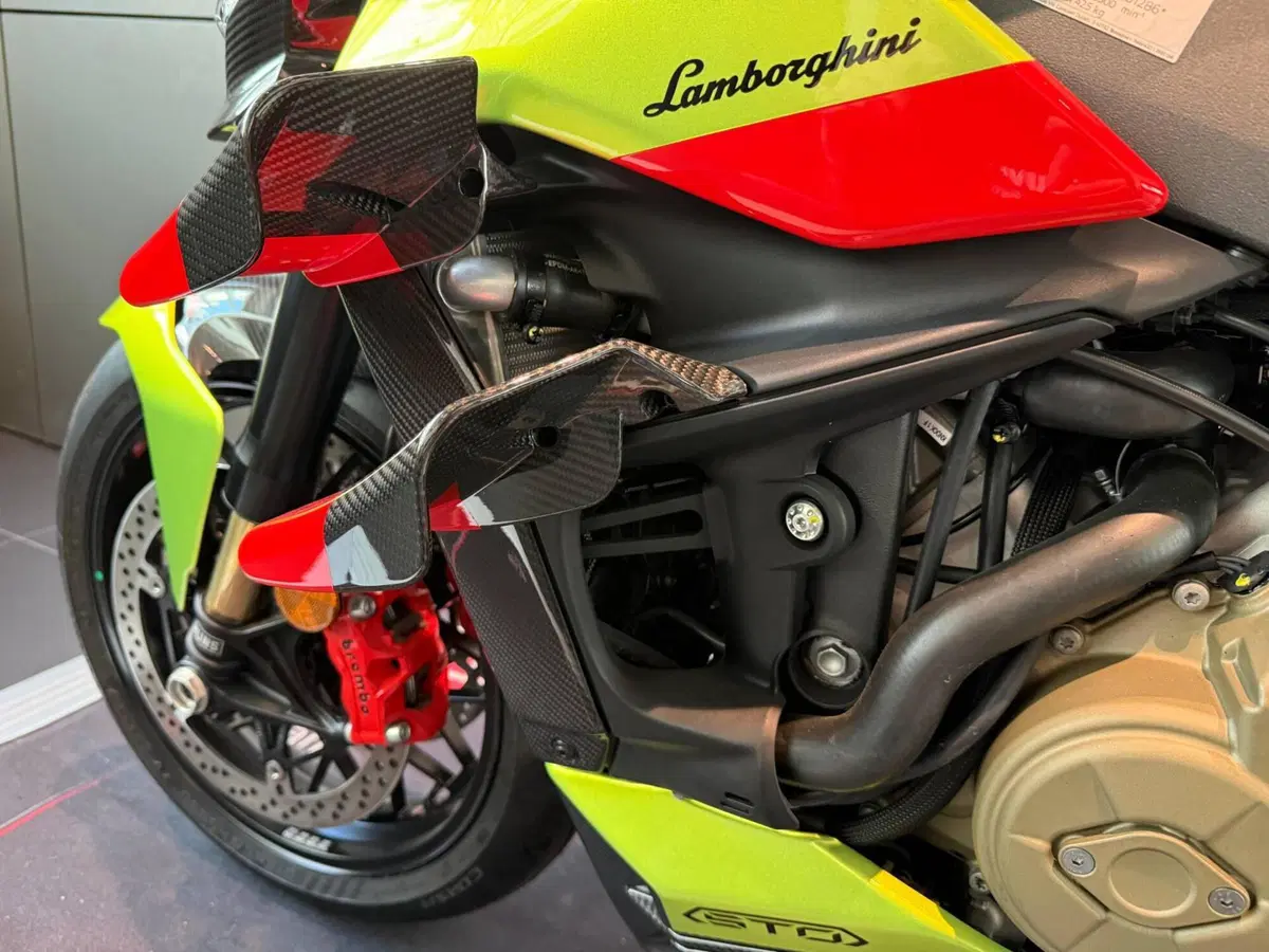 Ducati Streetfighter V4 Lamborghini (2023 - 24) (11)