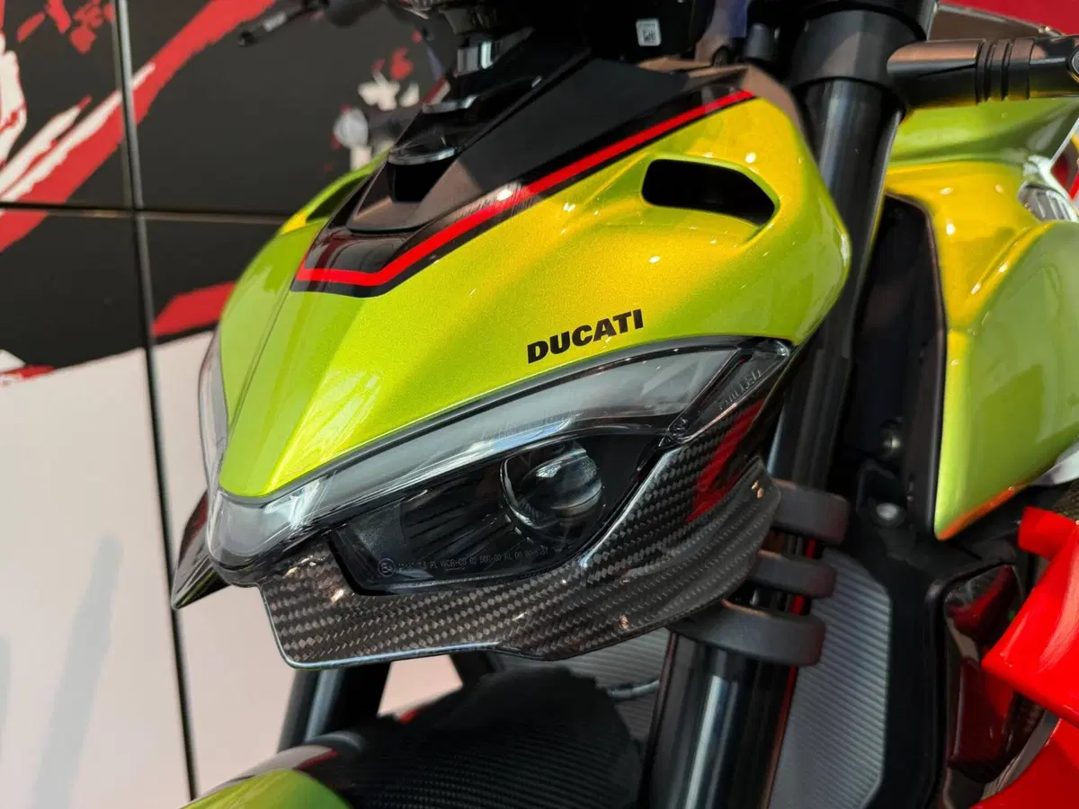 Ducati Streetfighter V4 Lamborghini (2023 - 24) (12)