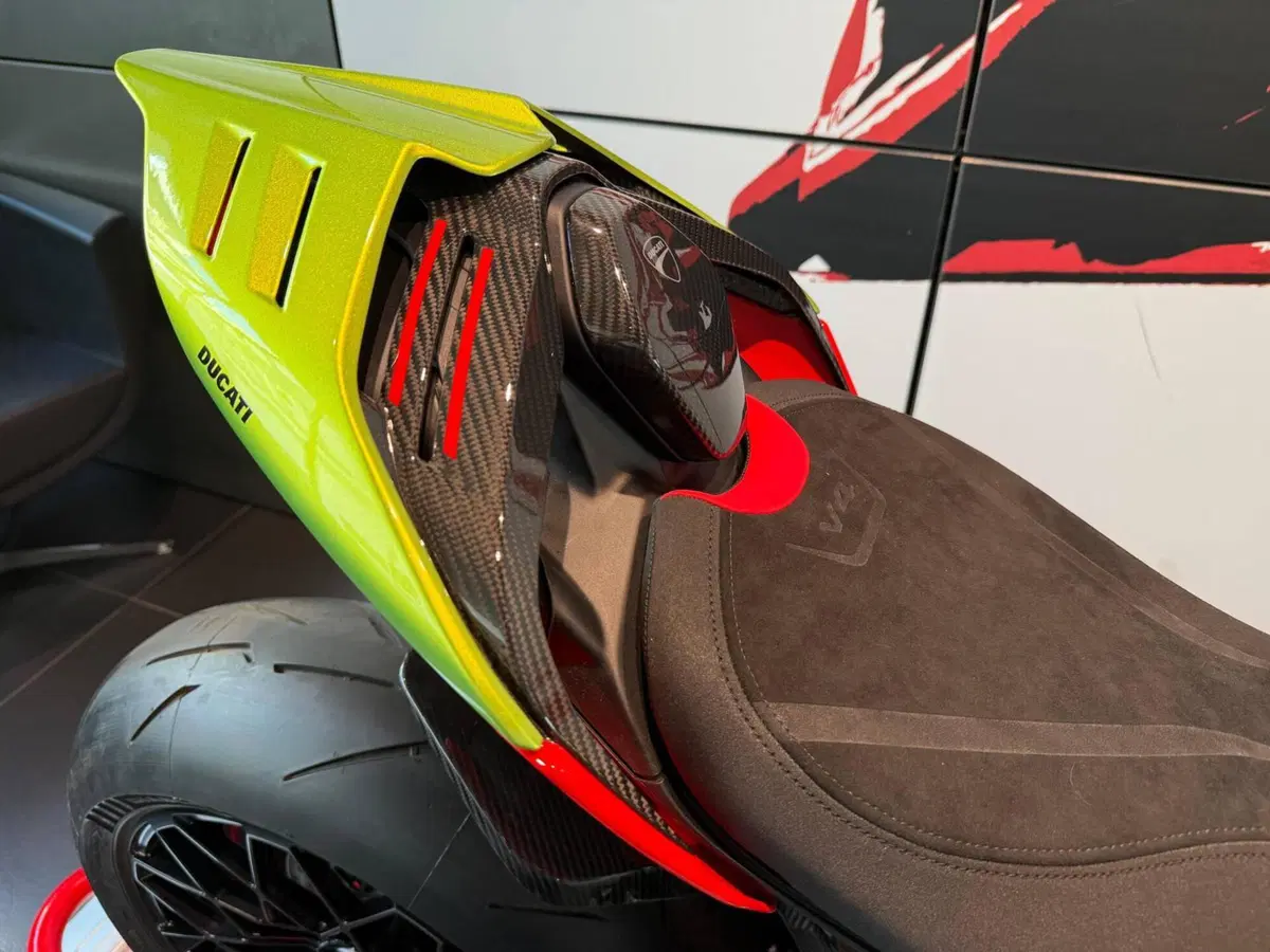 Ducati Streetfighter V4 Lamborghini (2023 - 24) (13)