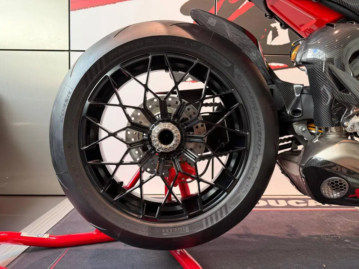 Ducati Streetfighter V4 Lamborghini (2023 - 24) (14)