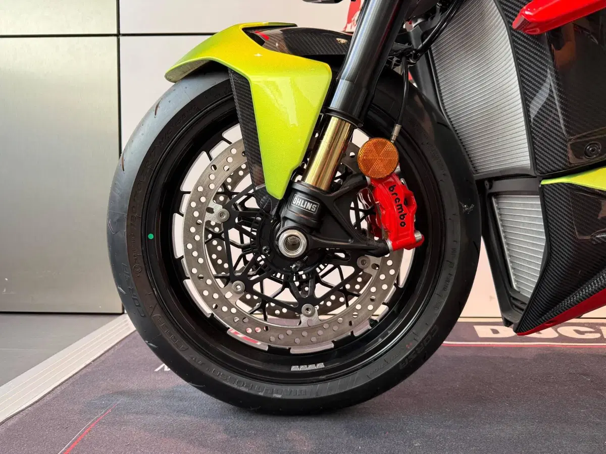 Ducati Streetfighter V4 Lamborghini (2023 - 24) (15)