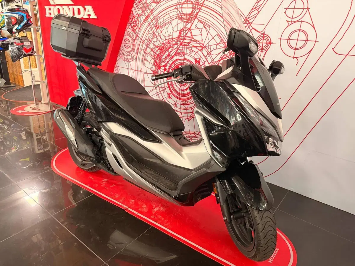 Honda Forza 300 (2019 - 20) (3)