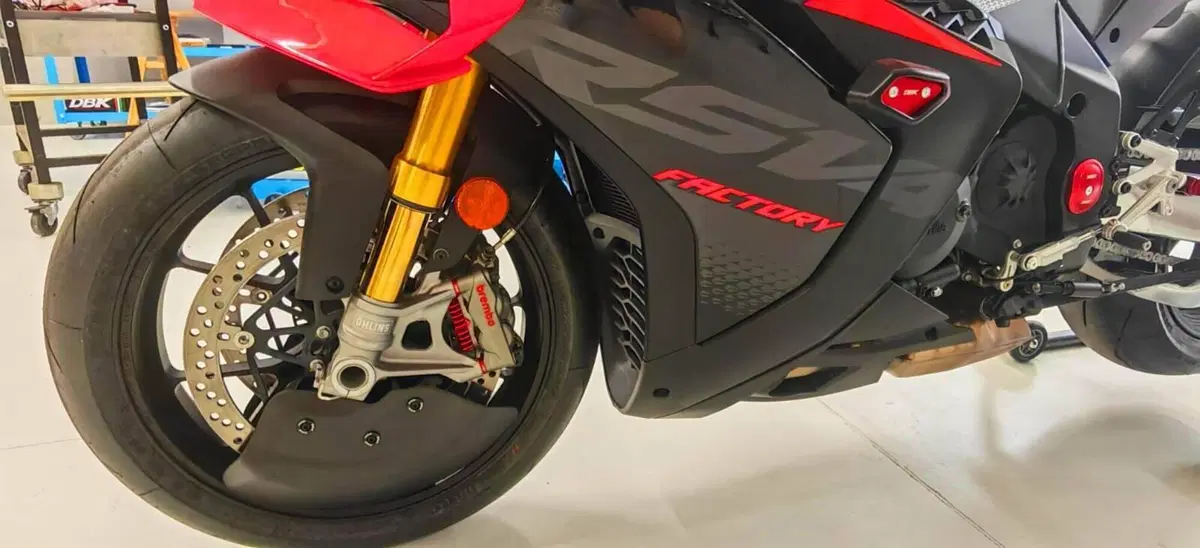 Aprilia RSV4 1100 Factory (2025 - 26) (9)