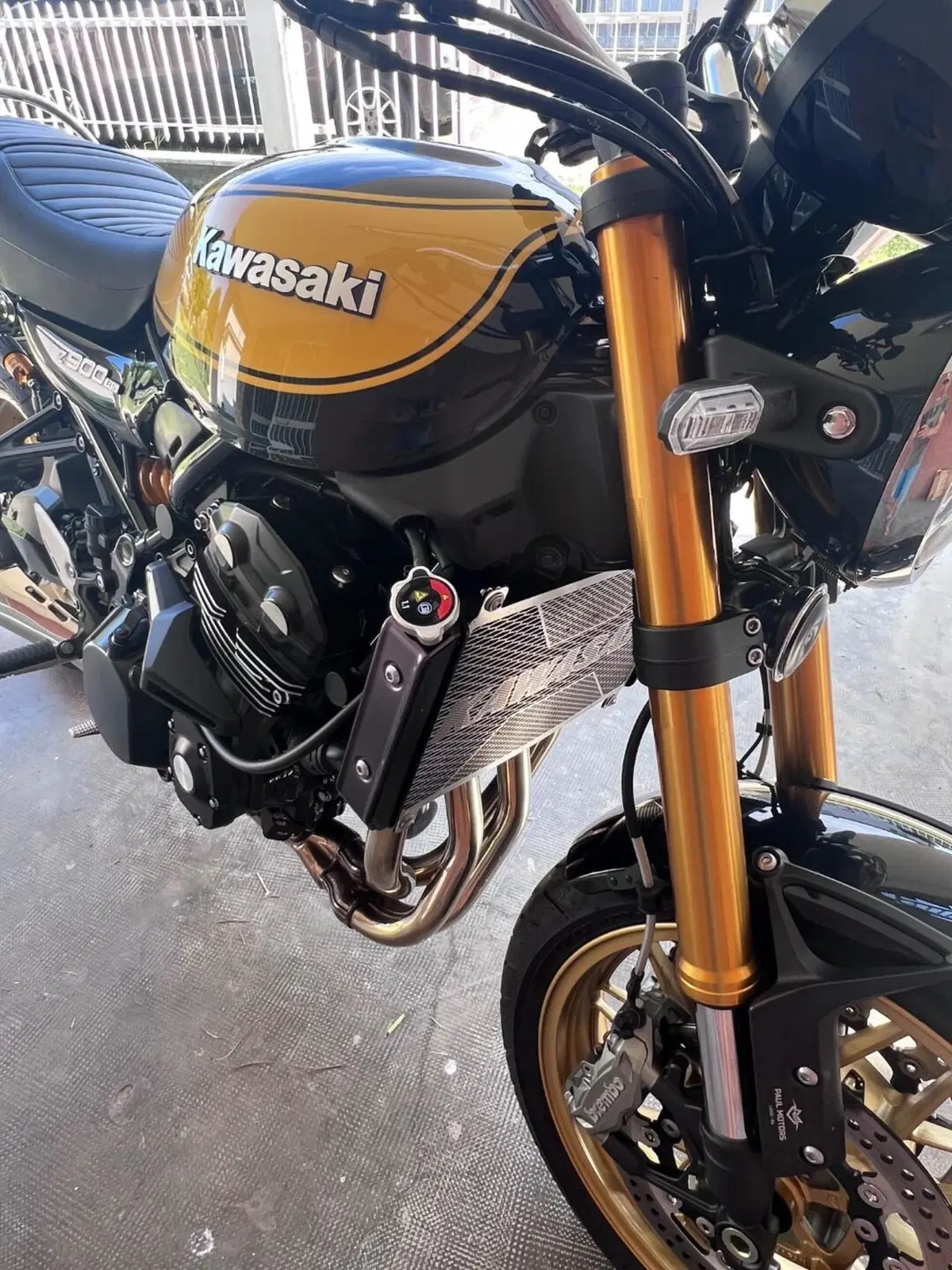 Kawasaki Z 900 RS SE (2022 - 25) (7)