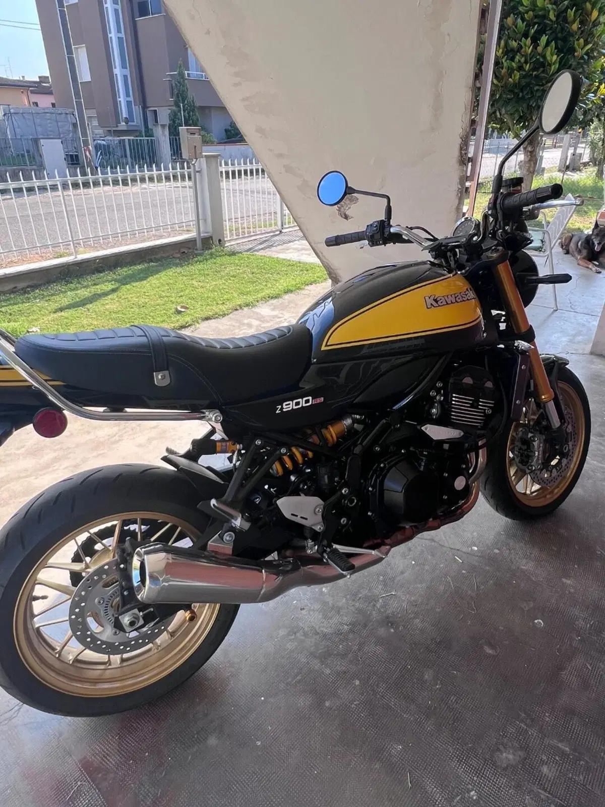 Kawasaki Z 900 RS SE (2022 - 25) (8)