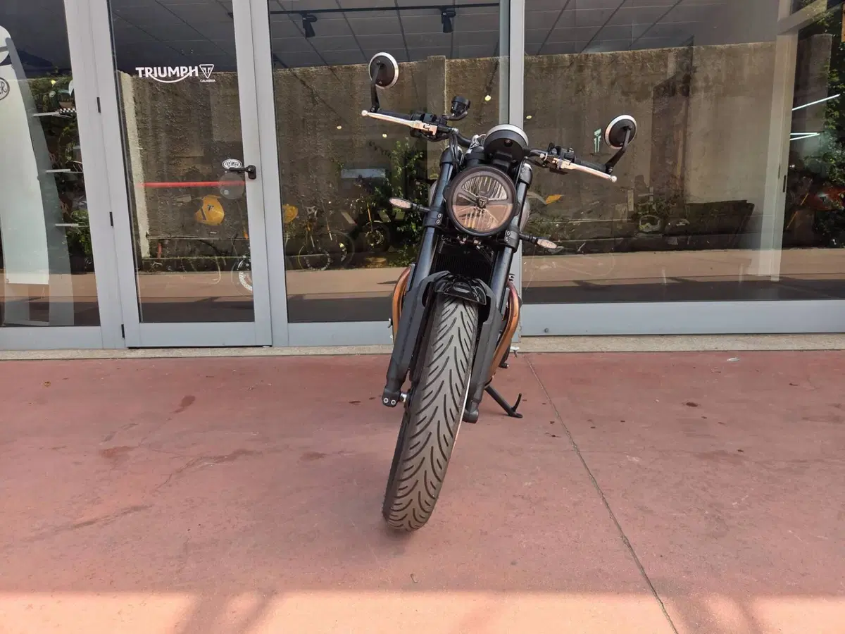 Triumph Speed Twin 900 (2025 - 26) (9)