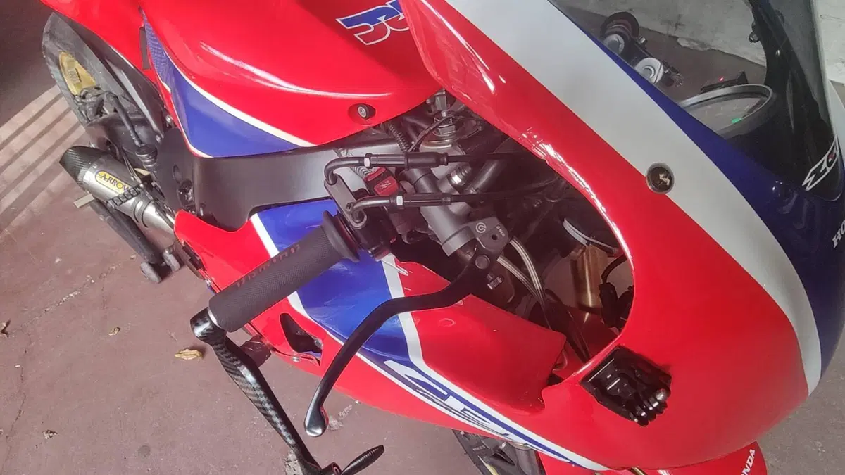 Honda CBR 1000 RR Fireblade (2008 - 11) (8)