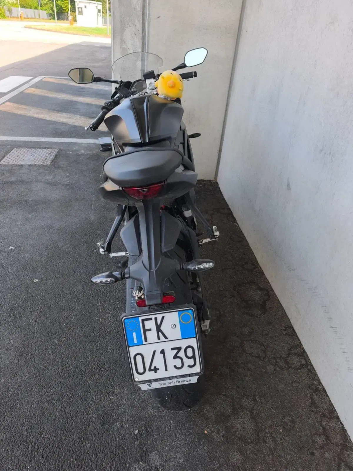 Triumph Daytona 660 (2024 - 26) (3)