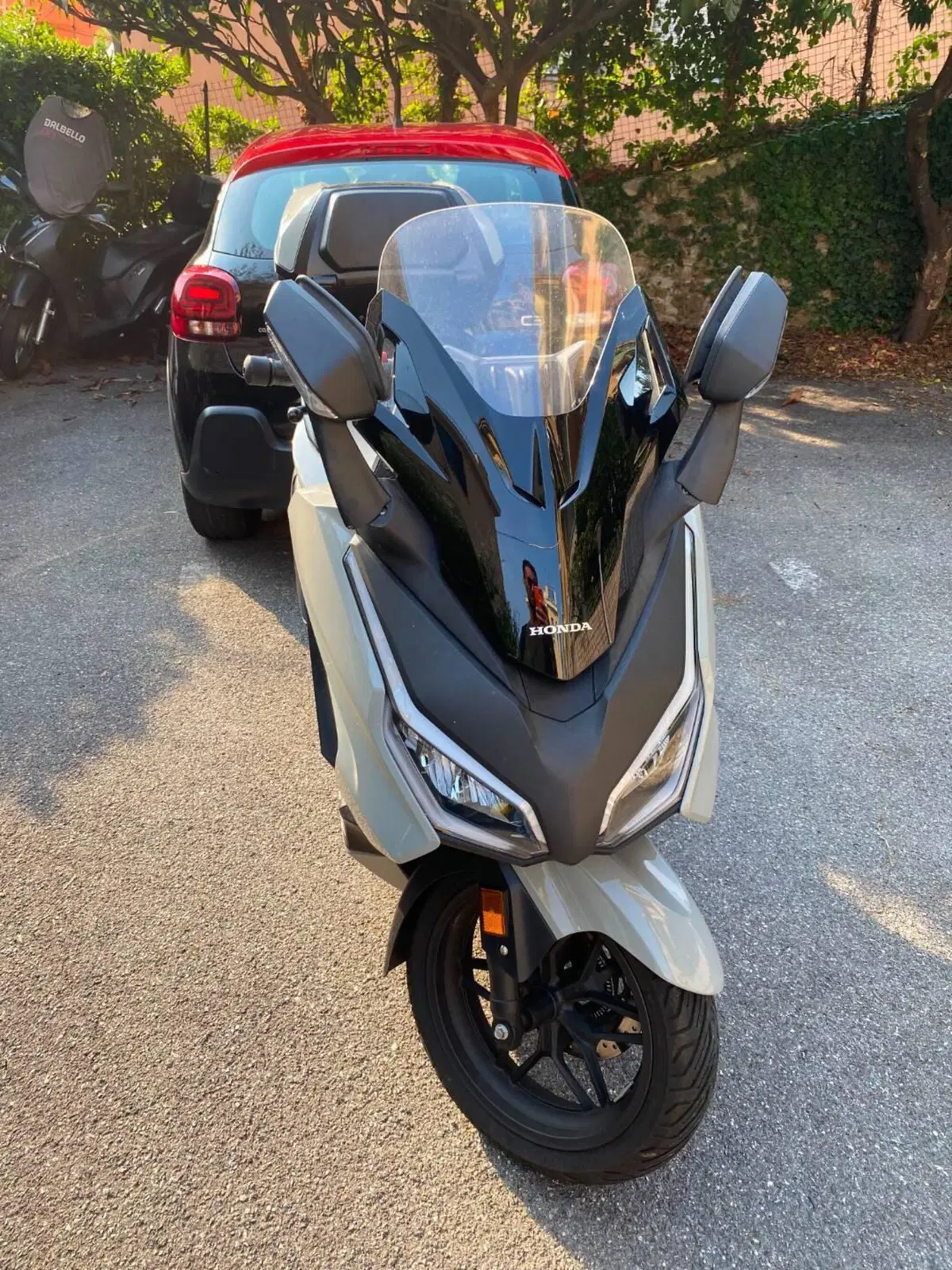 Honda Forza 350 Deluxe (2022 - 24) (2)