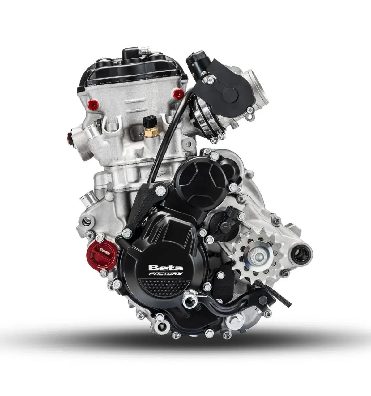 Betamotor RX 450 4T (2026) (7)