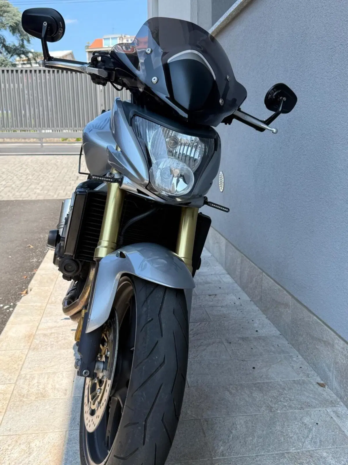 Honda Hornet 600 (2007 - 10) (6)