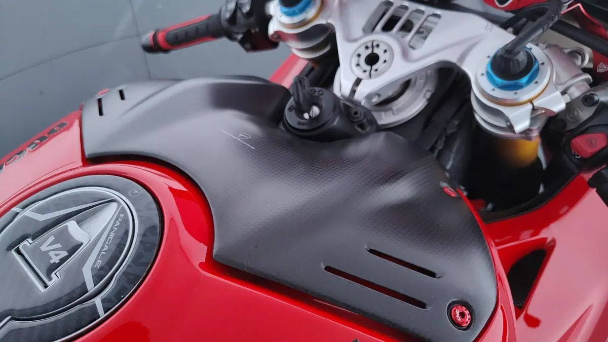Ducati Panigale V4 S 1100 (2021) (19)