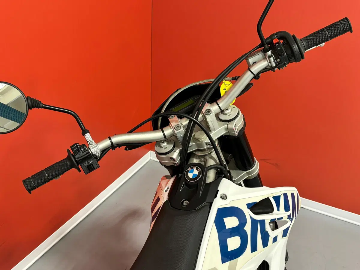 Bmw G 450 X (2008 - 09) (8)