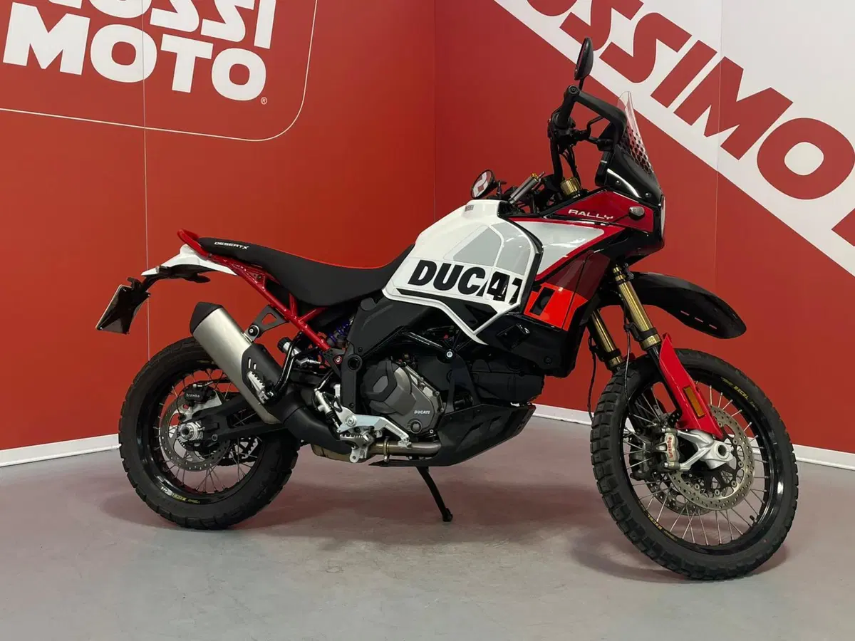 Ducati DesertX Rally (2024 - 25) (2)