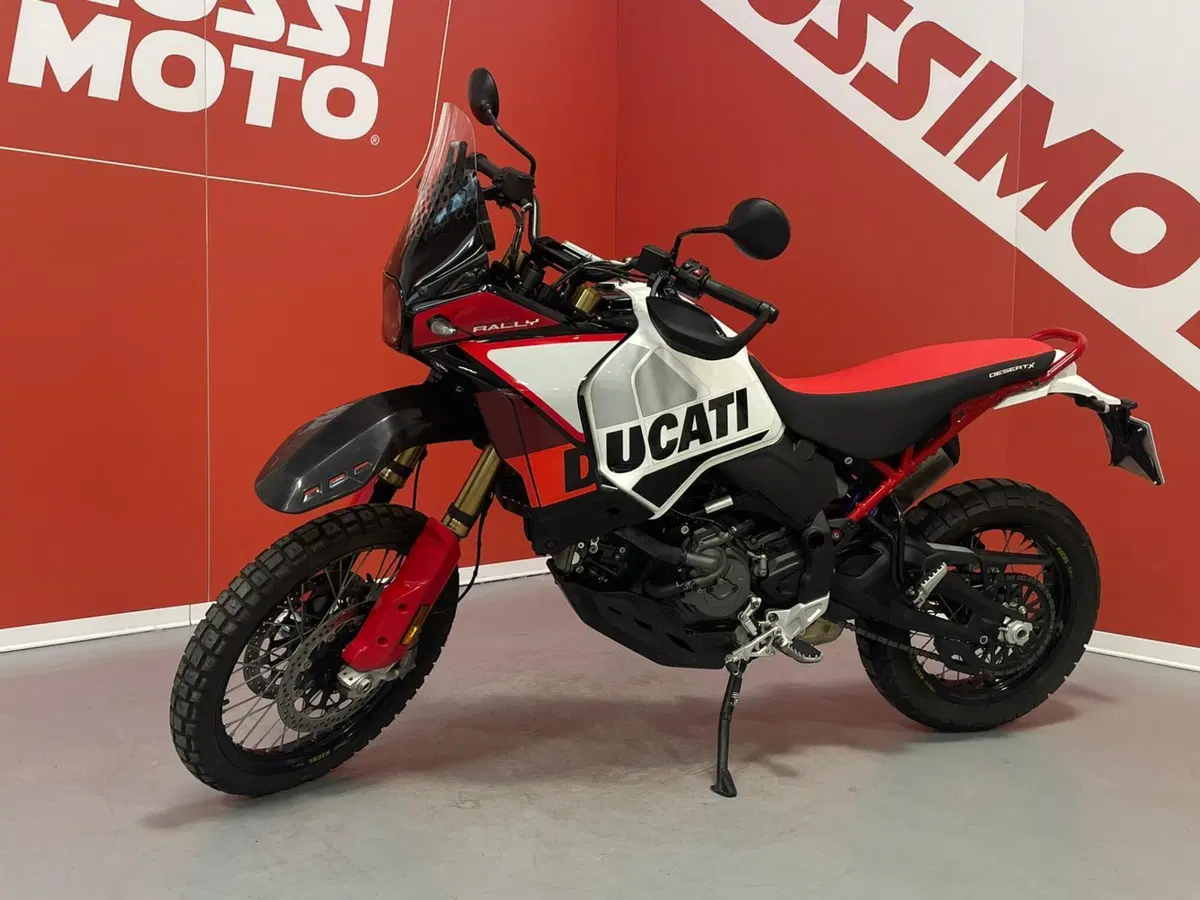 Ducati DesertX Rally (2024 - 25) (3)