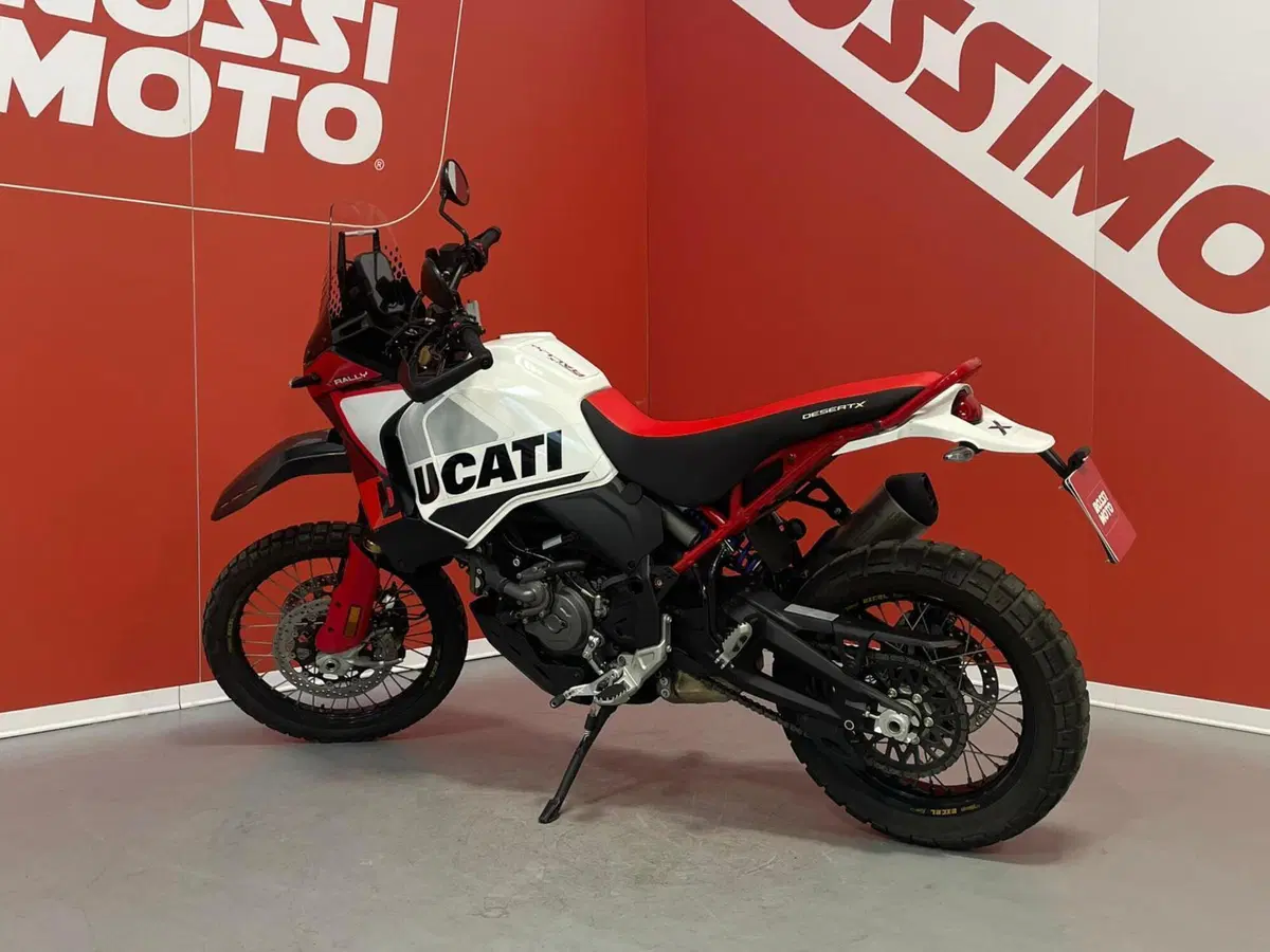 Ducati DesertX Rally (2024 - 25) (4)