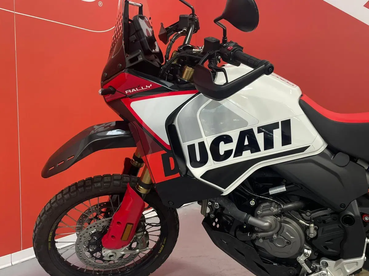 Ducati DesertX Rally (2024 - 25) (5)