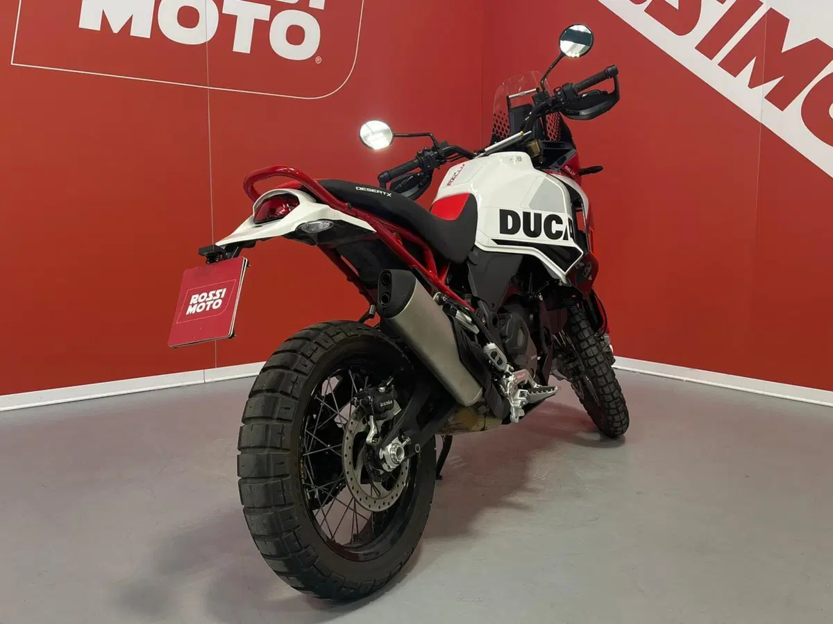 Ducati DesertX Rally (2024 - 25) (8)