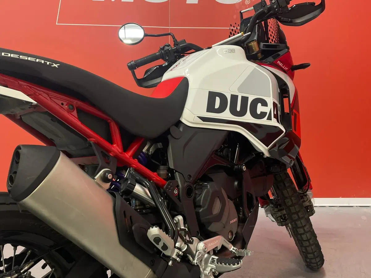 Ducati DesertX Rally (2024 - 25) (10)
