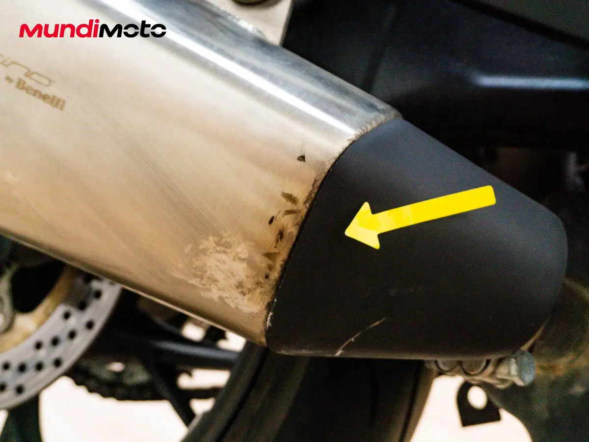 Benelli Leoncino 800 (2022 - 26) (16)