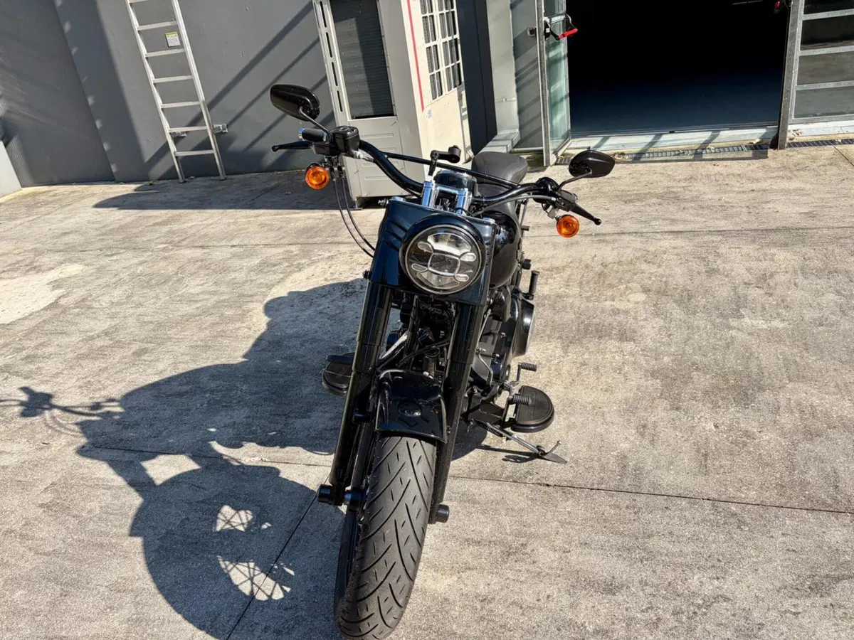 Harley-Davidson 1690 Slim (2011 - 16) - FLS (2)