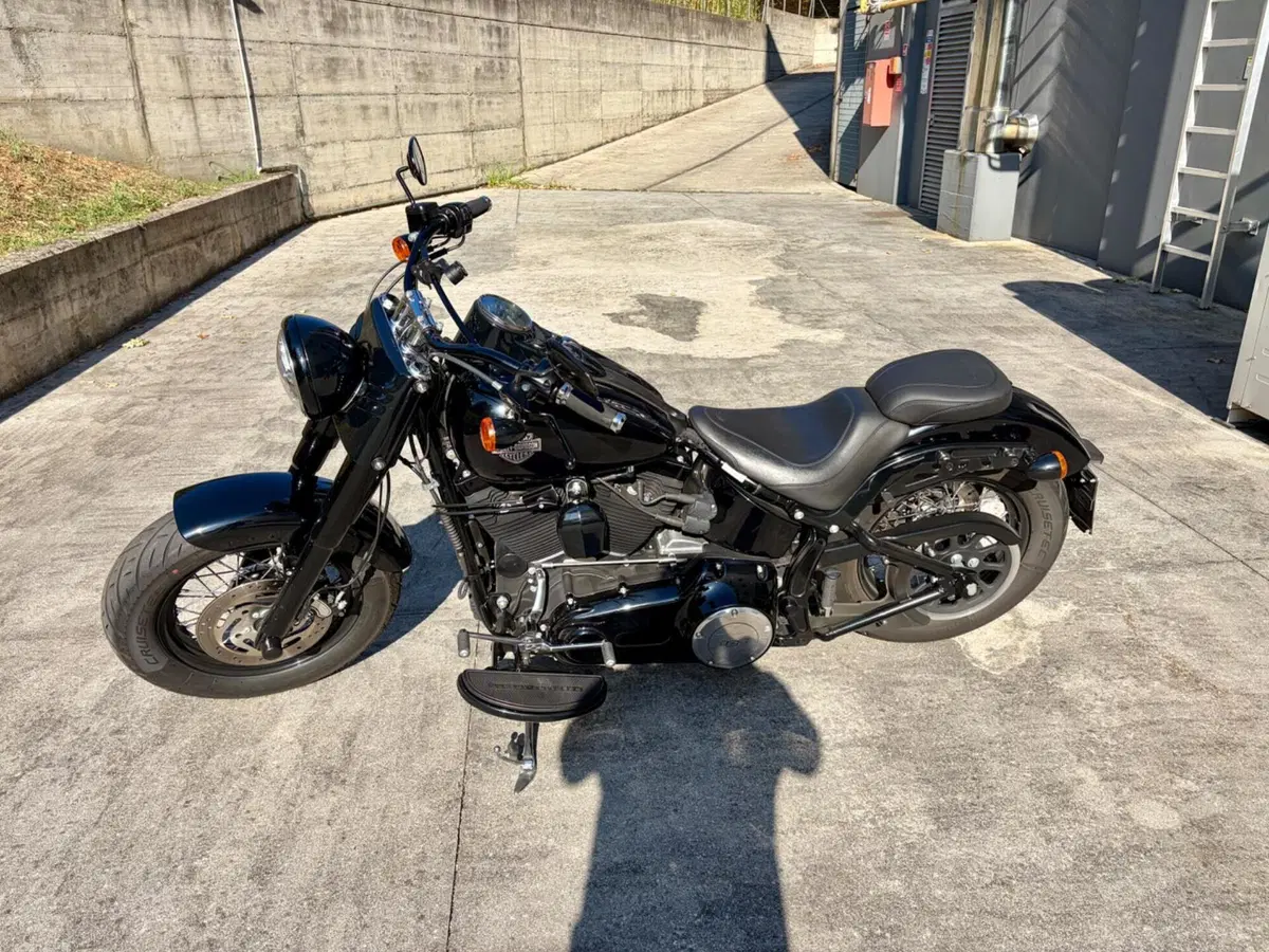 Harley-Davidson 1690 Slim (2011 - 16) - FLS (3)