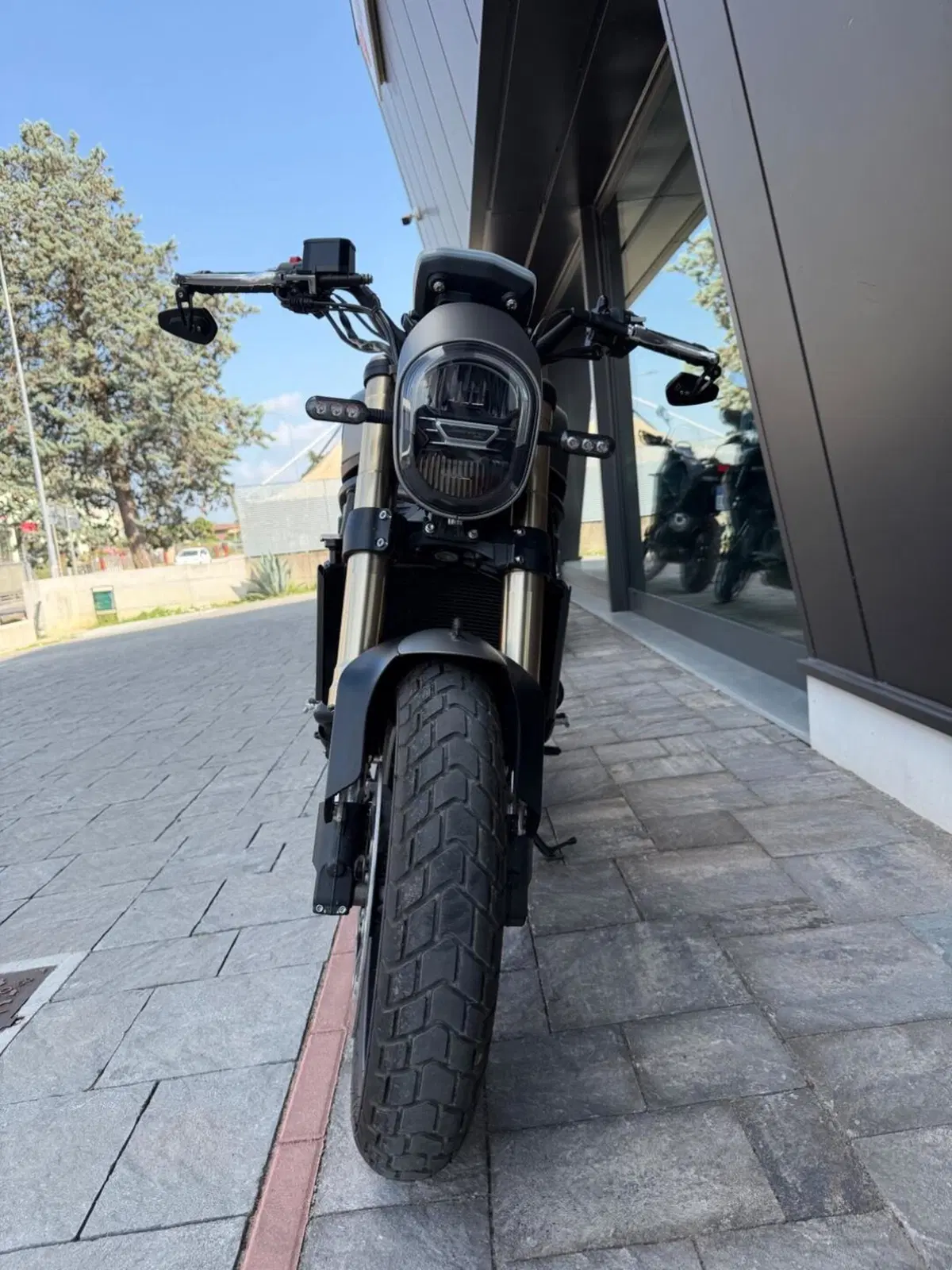 Benelli Leoncino 800 (2022 - 26) (6)