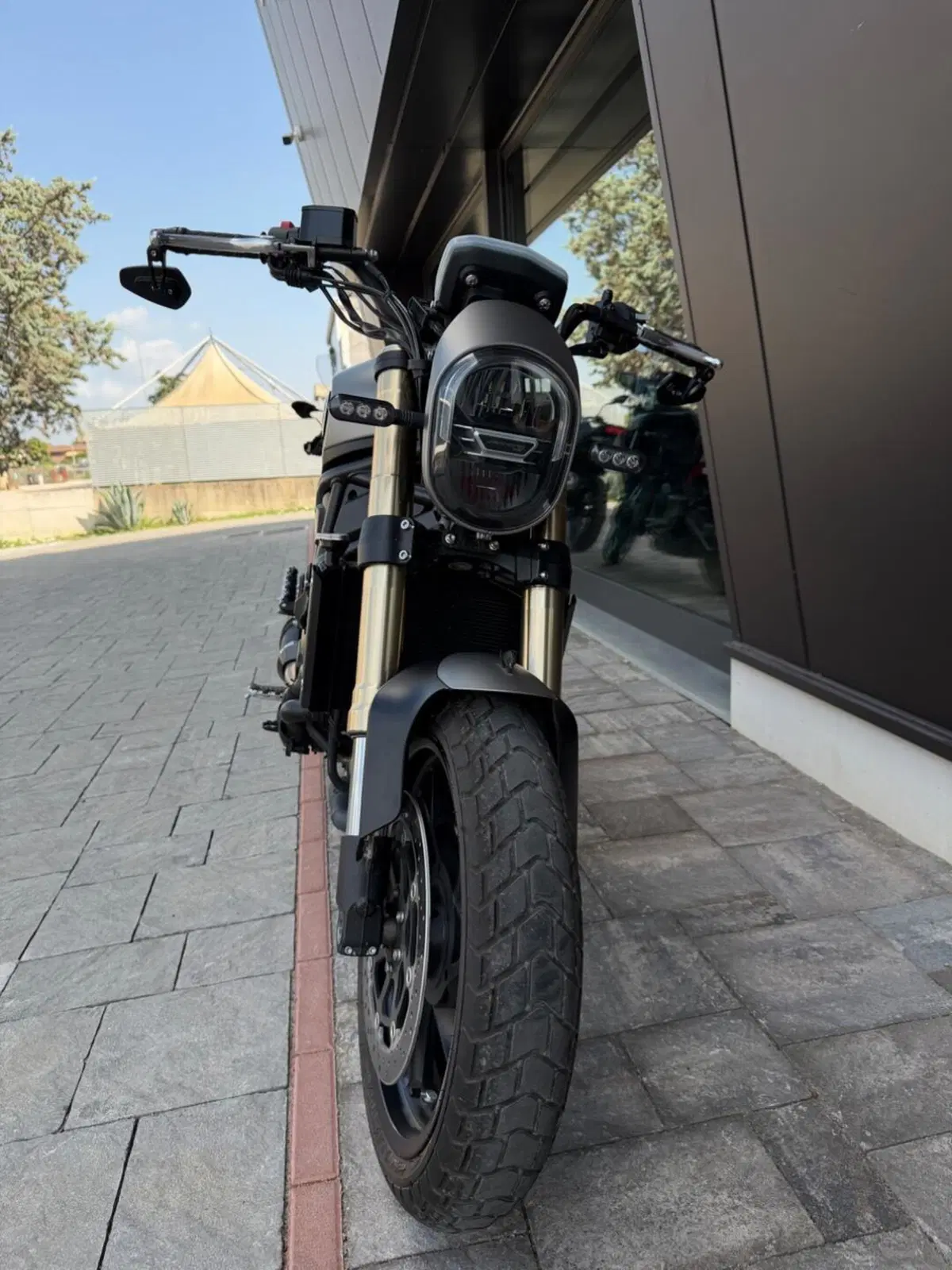 Benelli Leoncino 800 (2022 - 26) (7)