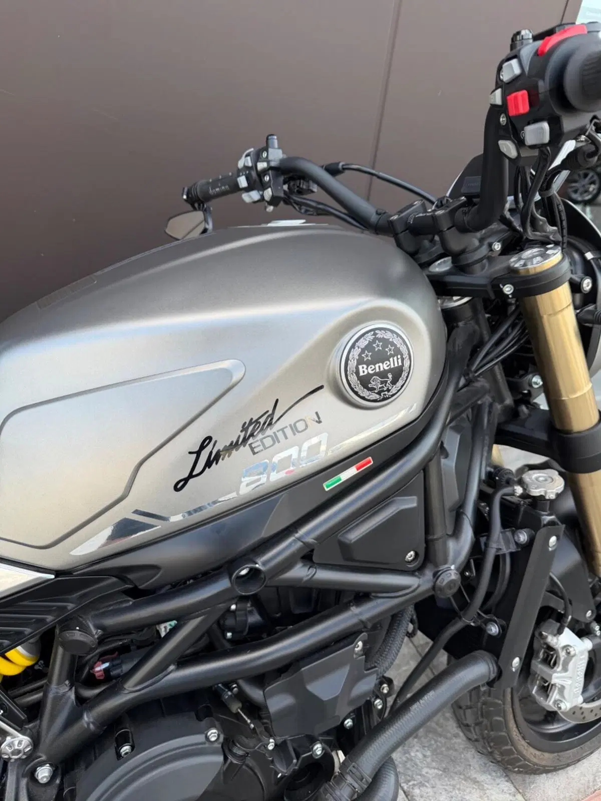 Benelli Leoncino 800 (2022 - 26) (8)