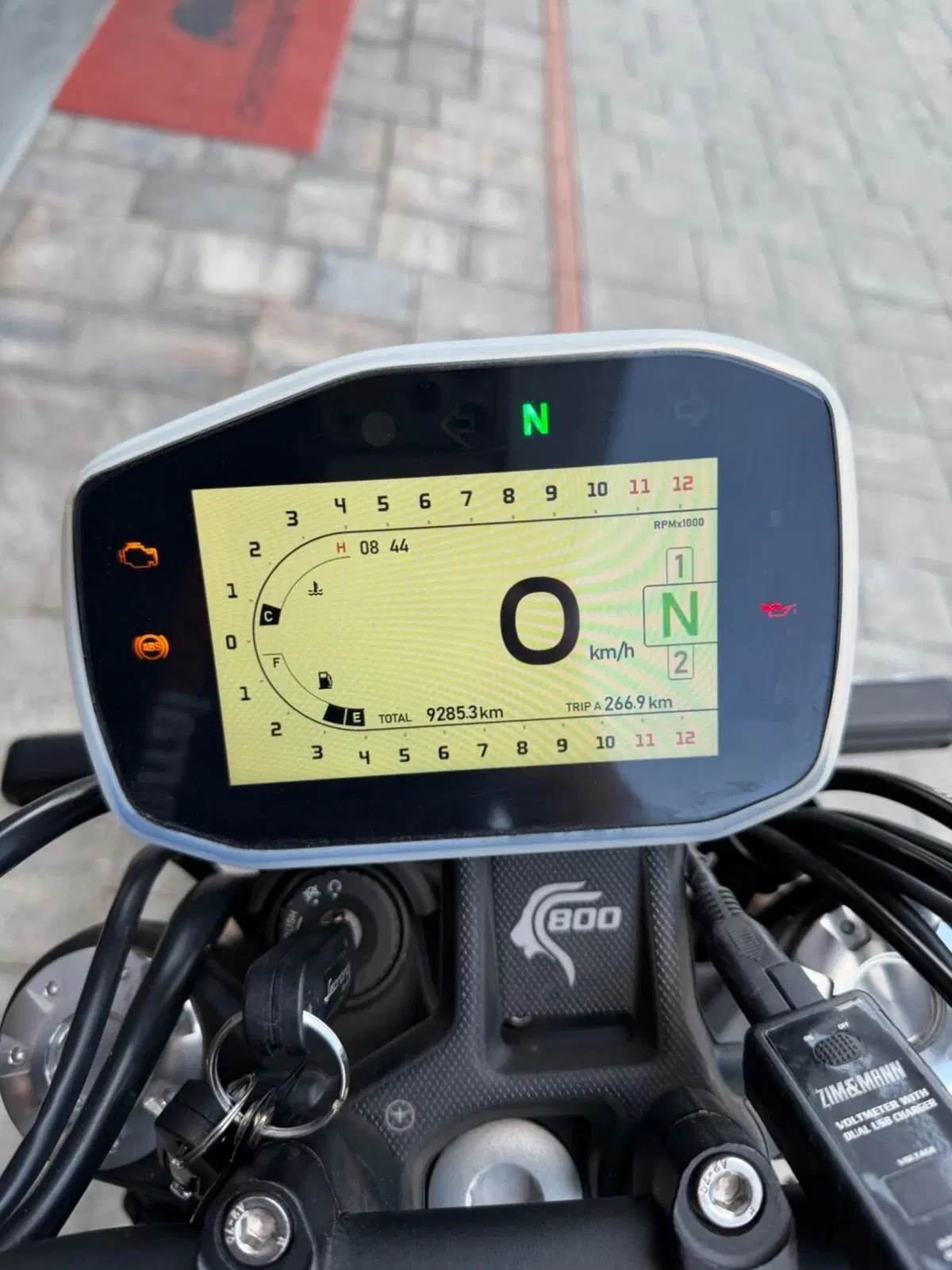 Benelli Leoncino 800 (2022 - 26) (9)