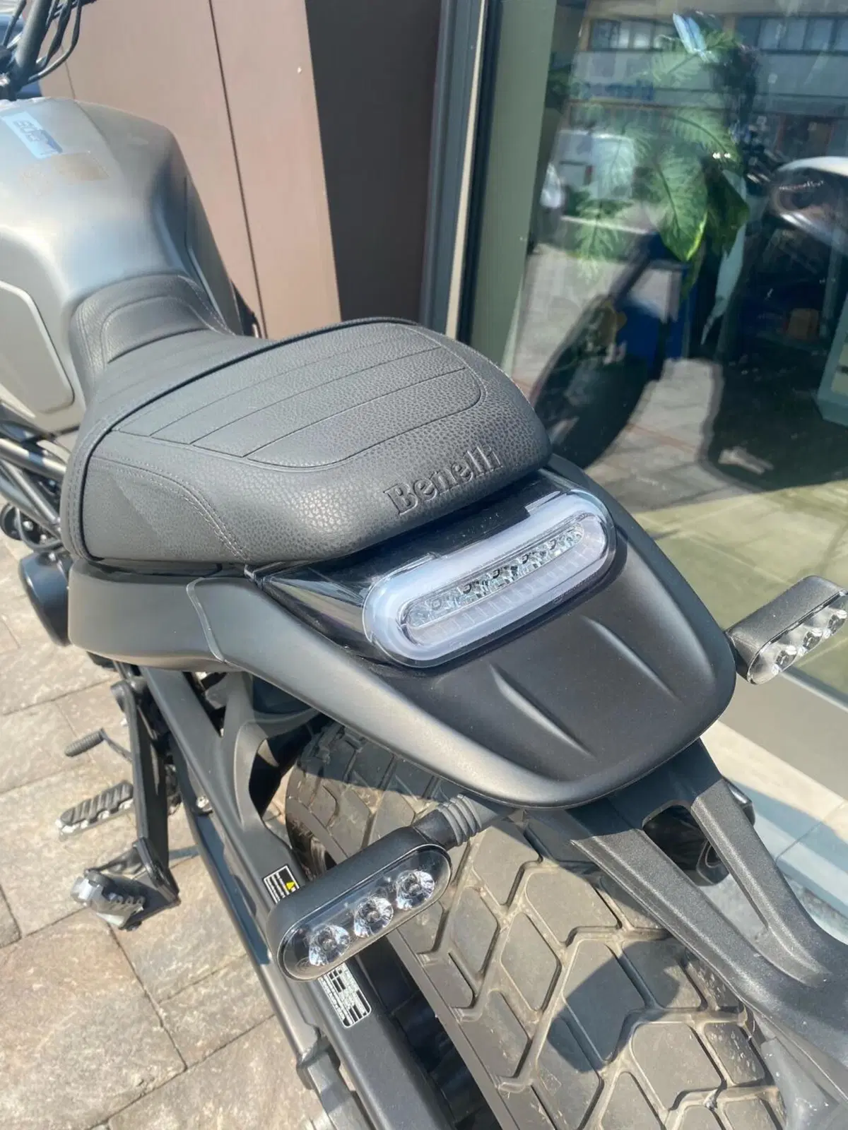 Benelli Leoncino 800 (2022 - 26) (12)