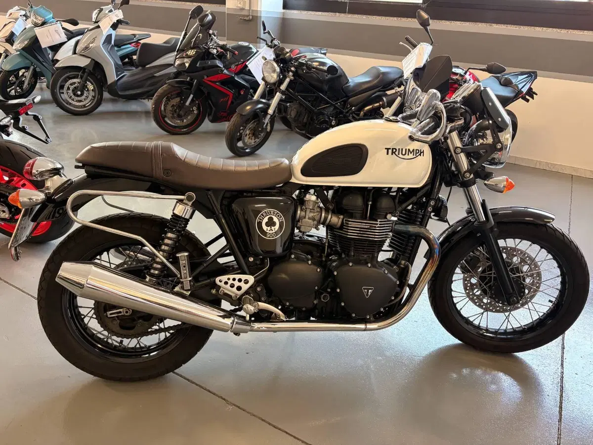 Triumph Thruxton 900 ACE (2014 - 15) (2)