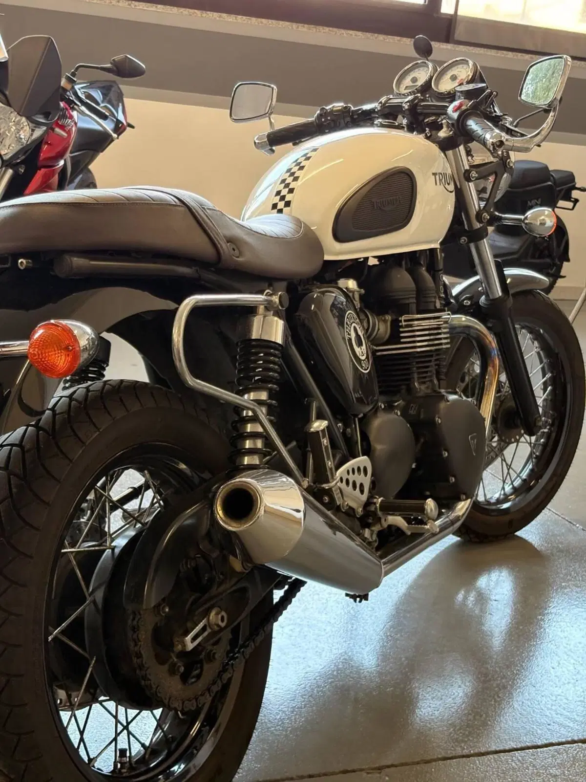 Triumph Thruxton 900 ACE (2014 - 15) (4)