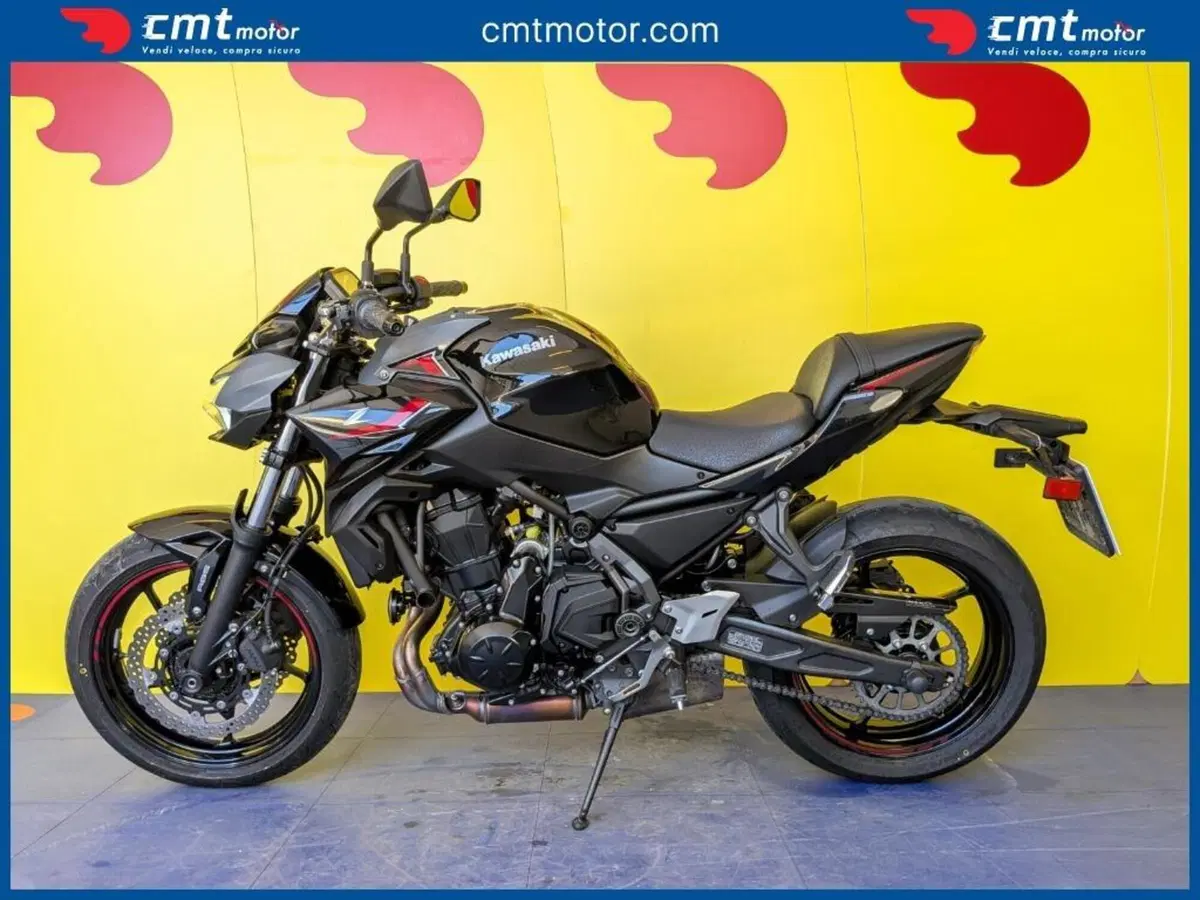 Kawasaki Z 650 (2021 - 24) (3)