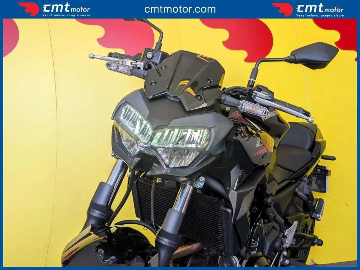 Kawasaki Z 650 (2021 - 24) (7)